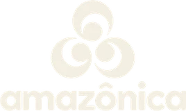 Rede Amazônica